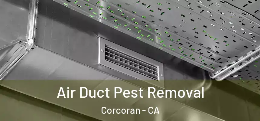  Air Duct Pest Removal Corcoran - CA