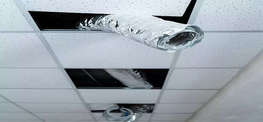 Affordable HVAC Sanitizing After Pest Removal in Corcoran