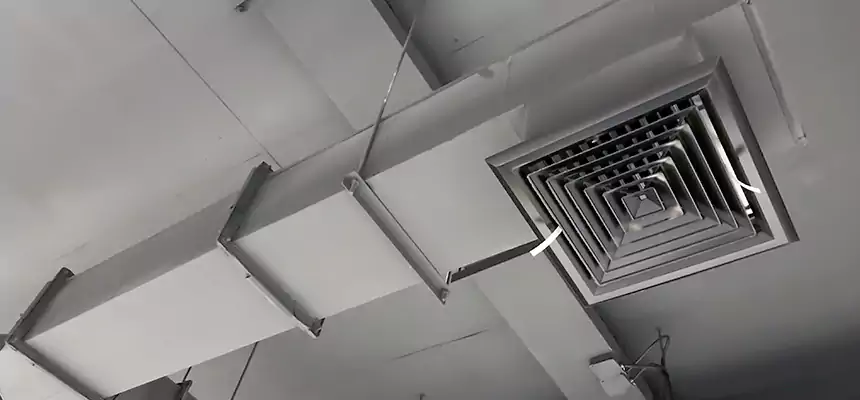 Our Rodent Droppings In Vents Services in Corcoran, CA