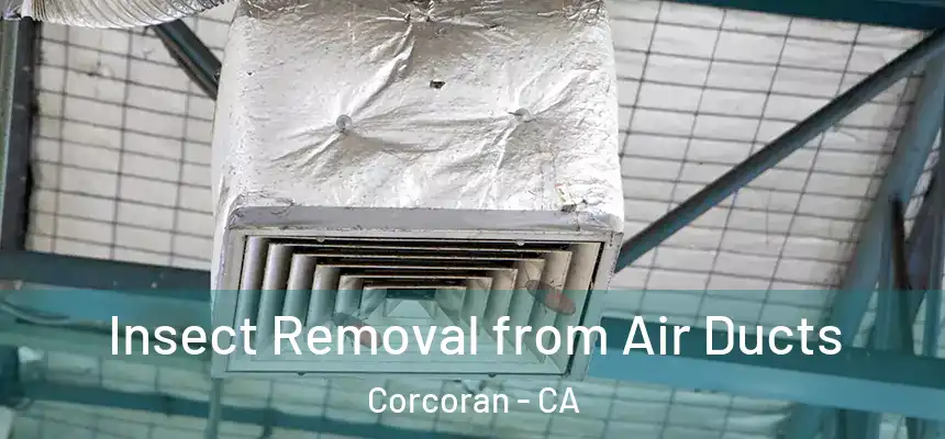  Insect Removal from Air Ducts Corcoran - CA